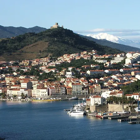 Sur Le Quai Port Vendres